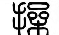 我起名字真的好难（取名字好难呀233）