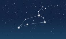 射手座怎样才会急着结婚（真正走进射手男心里的人）