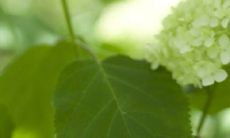 手相男生看那边（男生如何看手相）