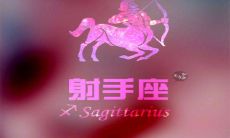 射手座的男生喜欢什么座的女生（射手座女生漂亮吗）