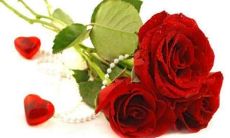 测测你的桃花指数（测试你最近的桃花运）