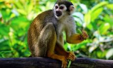 2004年属猴学业怎样（2004属猴2023年学业运势）