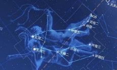 我恨双子座排第几名（双子座在学校排名第几）