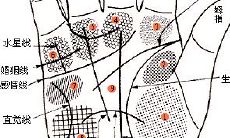 手相感情线解析（女生手相感情线）