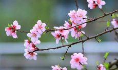 人要走好运才能遇到好的姻缘（命中注定的姻缘可以改变吗）