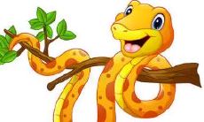 2001属蛇闰四月出生的考运（2001年女属蛇的几大坎）