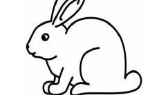 属兔和属兔婚姻配不（属龙和属兔的婚姻相配吗）