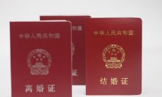 牛年和猪相冲吗（猪跟牛的属相相冲吗）