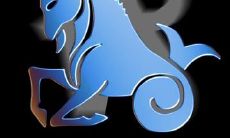 看星座是看太阳星还是上升星座（摩羯座的上升星座）