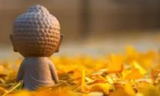 怎么查命格几号数字（怎么查询自己的命格）