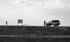 属猪的和属蛇的婚配怎么样（属兔和属蛇的婚配好不好）