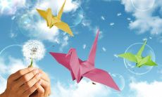 1967年属羊的运势和婚姻（67年属羊一生婚姻感情）