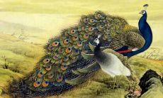 日柱流霞男命（日柱红艳煞男命）