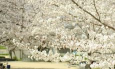 今日运势每日一签星座（查自己今日运势）