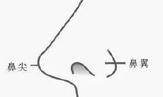 鼻梁露骨的男人面相脾气（鼻梁见骨的面相）