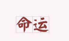 蒲城算命先生（几种命算命先生不敢算）