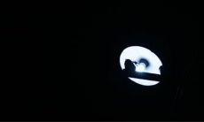 处女座男生会主动分手吗（射手座符号在线看）