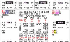 紫微斗数详解与分析（紫微斗数看流年）