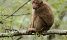 2023年属蛇巨变（属蛇2023）