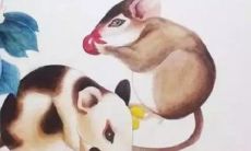 1984年属鼠2023年全年（2023年鼠年运势及运程1984）