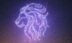 狮子座没有心机（狮子座为什么内心孤独）