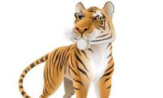 属猪女最喜欢年龄小的男生（属猪男人爱上一个女人表现）