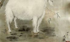 属羊人2023年下半年运势及运程免费（属羊运程测算2023）