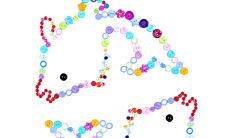 怎样挽回双鱼座男（怎么样挽回双鱼男）