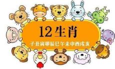 属相是看农历的还是阳历的（属相看农历吗）