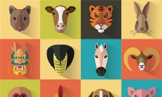 属生肖按农历还是阳历（小孩属相阳历还是阴历）