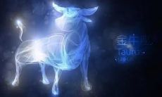 1998年的金牛座（98年金牛座女性格）
