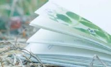 2023属虎男孩小名最佳用字（属虎男孩取名宜用字）