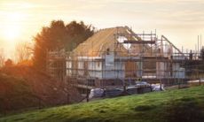 周公解梦别人修路建房（属兔的戴狗好不好）