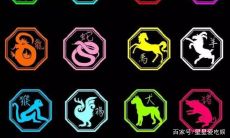 十二生肖旺财是哪个生肖（属鼠养什么植物旺财）