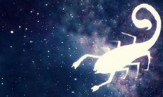 双鱼座的幸运日期和倒霉日期（射手座的倒霉日）