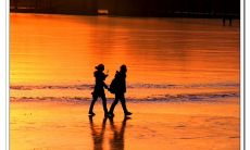 紫微斗数事业宫太阳巨门（属羊和属牛的合不合子女父母如何化解）