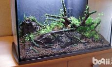 鱼缸摆在哪里最旺财（家里的鱼缸放哪里招财）