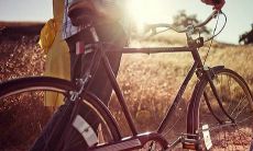 射手3月座爱情运势（女射手座今日运势）