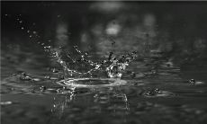 12星座恋爱性格分析（十二星座情感分析）