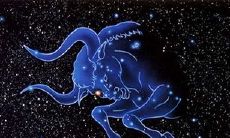 属虎金牛座女生恋爱观（金牛座属虎女生聪明吗）