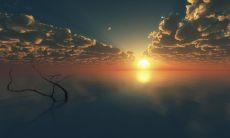 73年属牛的财运在哪个方向（1973年属牛的财运方位）