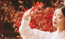 金牛座是恶魔又有天使心（金牛座黑暗爆发）