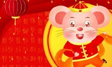 怎么查看生肖（生肖年份对照表）