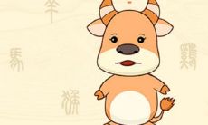 属牛女的优点（属牛女的缺点）