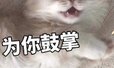 金牛座女处女男相处久了发现对方重要性（处座男为什么偏爱金牛女）