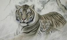 属牛男爱撒谎吗（属牛男出轨会回头吗）