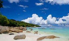 属马的人适合什么行业（属马的男孩适合什么职业）