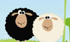 属鸡的今年的运程2023（属鸡2023年下半年运势及运程）