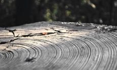 人世有没有轮回（人真的有前世轮回吗）