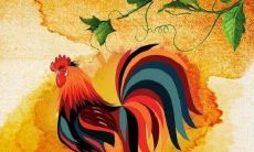 属鸡的在虎年多少岁（属鸡与属虎的合不合）